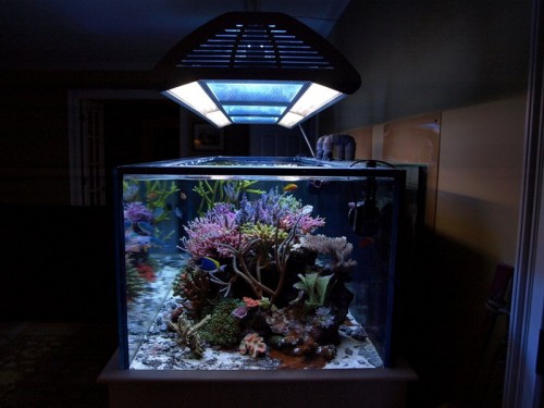 mijan2309tankpic7a.jpg