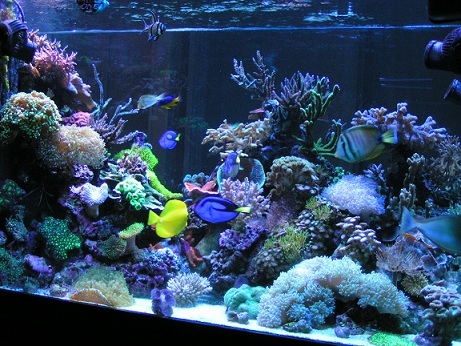 PICT1205.JPG