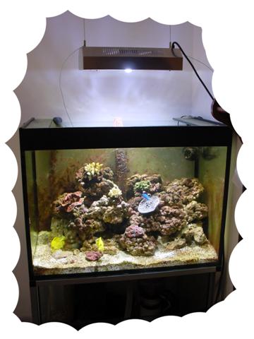 LED%201x100%20Watt (Small).jpg