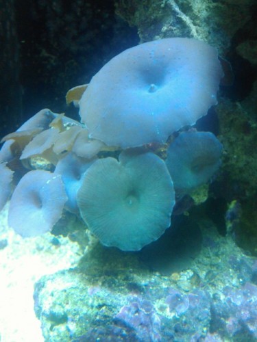 IMG025.jpg