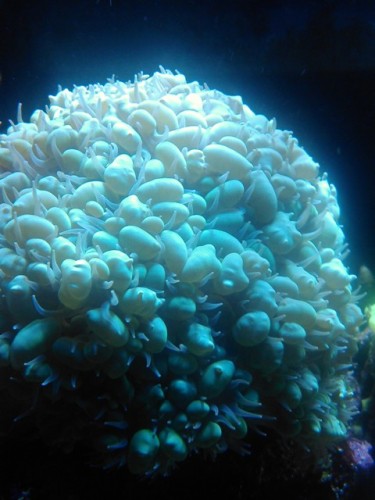 IMG048.jpg