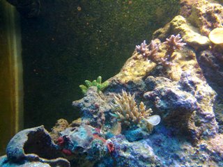 07012010041.jpg