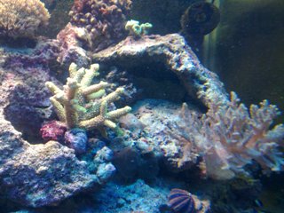 07012010042.jpg