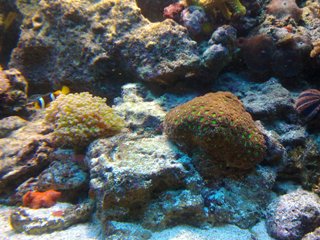 07012010043.jpg