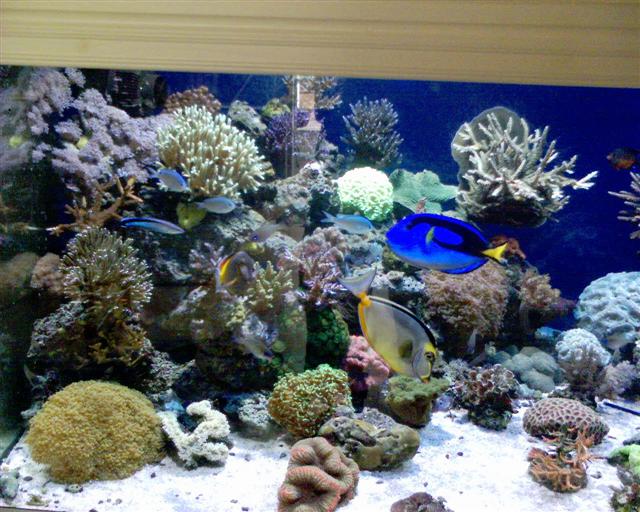 DSC00044 (Small).JPG