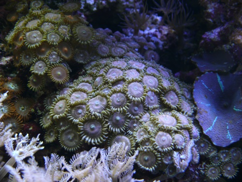 L1020100.jpg