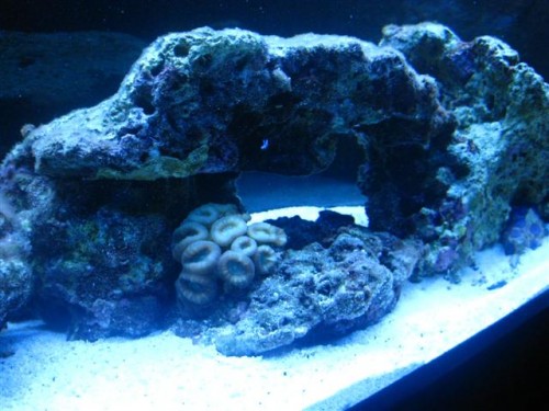 09-02-2010 009 (Small).jpg