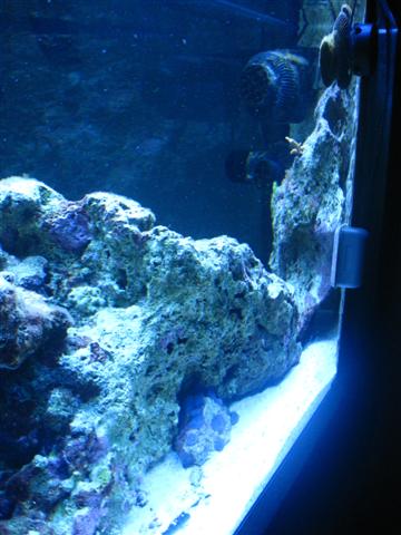 09-02-2010 010 (Small).jpg