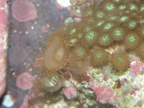 P2180575_Medium.JPG
