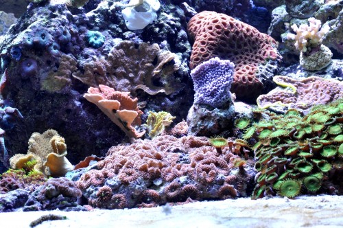 DSC_0097.JPG