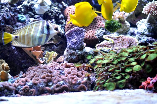 DSC_0094.JPG