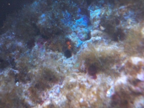 100_0277.JPG