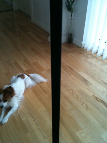 Flotter fuger