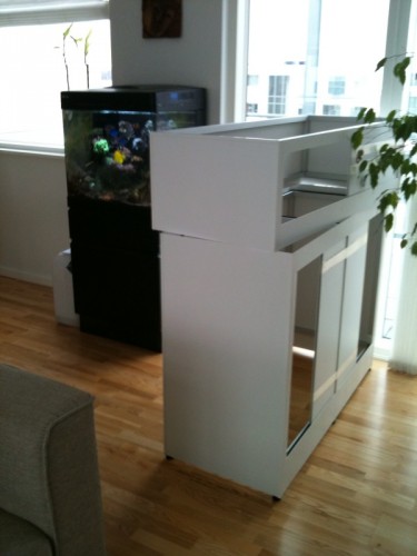 foto7.jpg