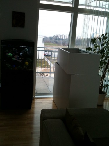 foto8.jpg