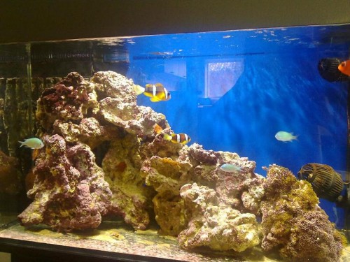 11042010061.jpg