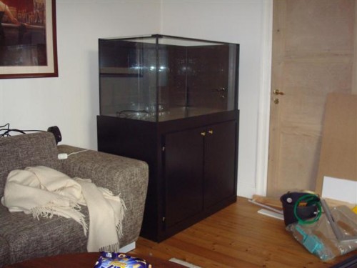 DSC00778 (Small).JPG