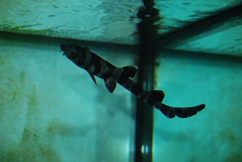 DSC_0388.JPG