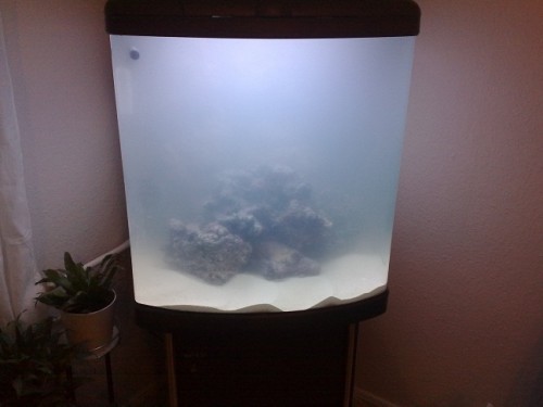 05052010133.jpg