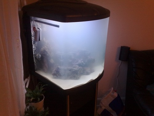 05052010135.jpg