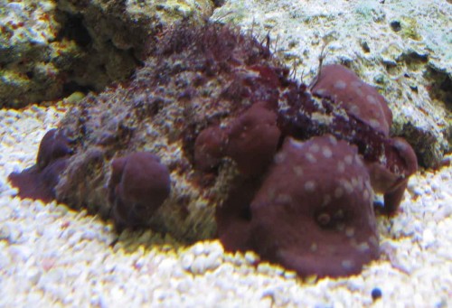IMG_1093.jpg