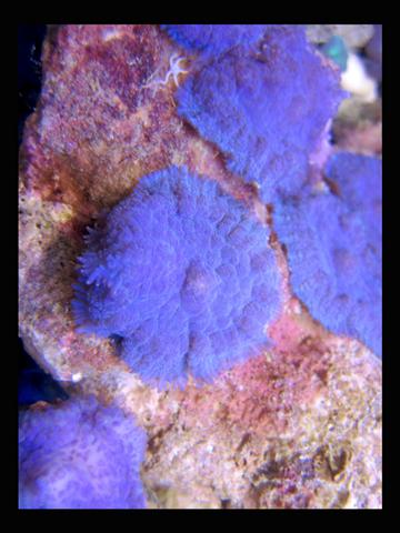 IMG_1110.jpg