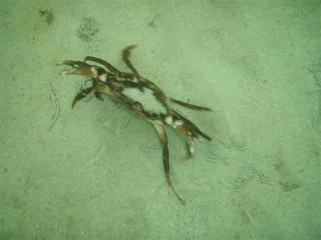 P8261550 (Small).JPG
