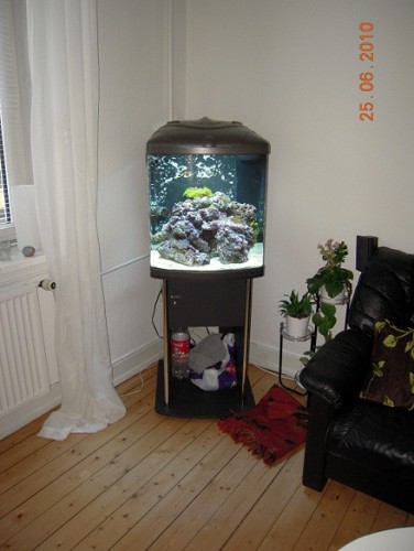 DSCN1059.JPG