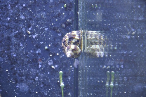 20100702_1444.JPG