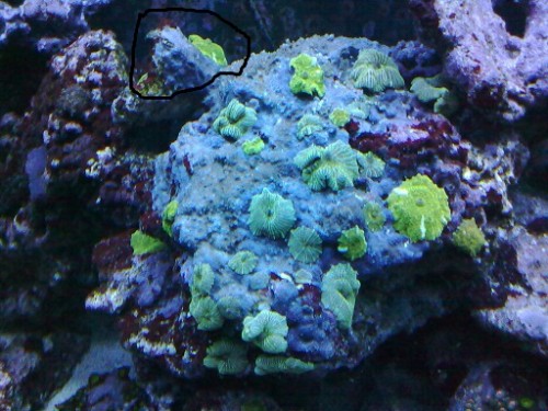 25062010023.jpg