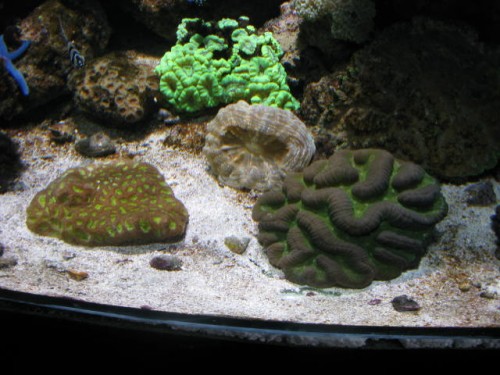 IMG_2100.JPG