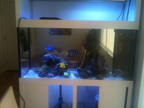foto-28.jpg