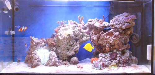 Full tank shot