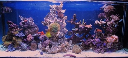 IMG_0609.JPG