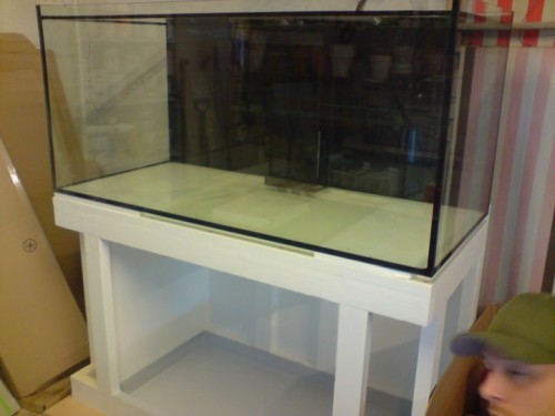DSC01351 [DVD (PAL)].JPG
