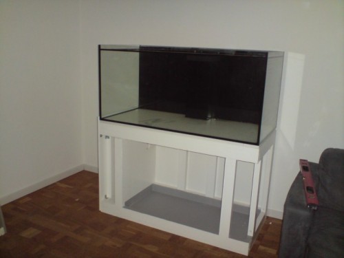 DSC01360 [DVD (PAL)].JPG