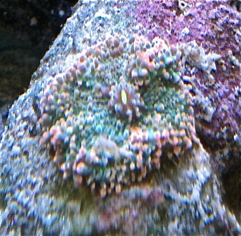 foto-13.jpg