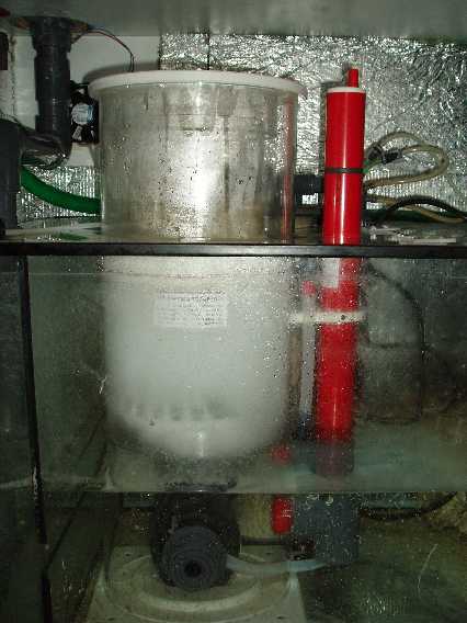 Bubble-King2.JPG