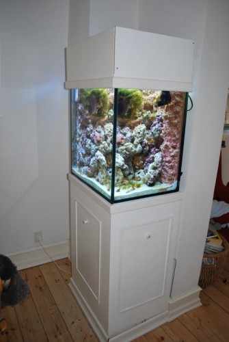 akvarie2-small.jpg