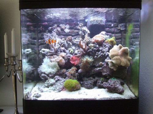 FTS-1024.jpg