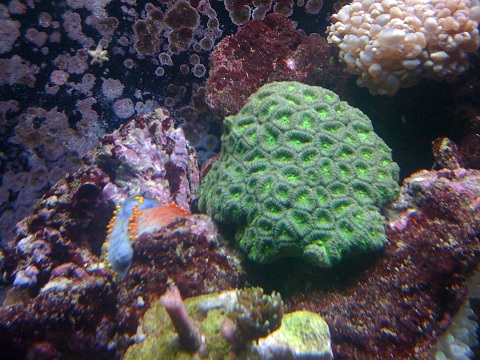 IMG_0076.JPG