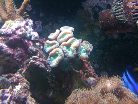 IMG_0078.JPG