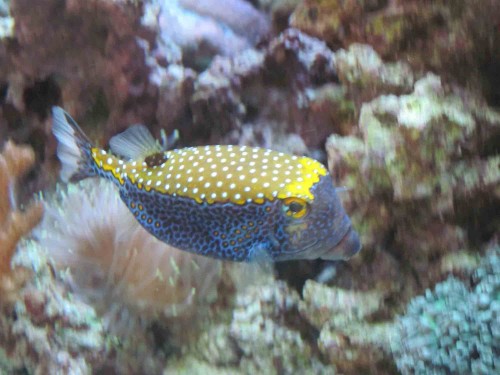 IMG_0517_v2_1.jpg