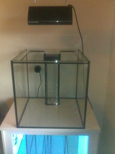 11092010087.jpg