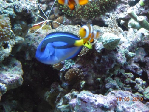 DSCN1368.JPG