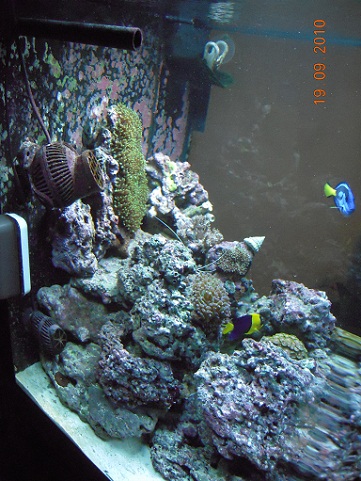 DSCN1372.JPG