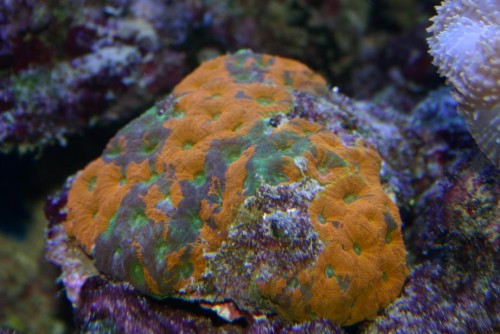 IMG_0038.JPG