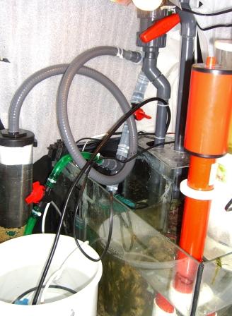 sump1.JPG