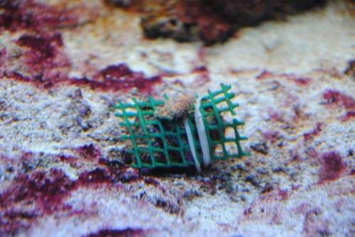 DSC_0114.JPG