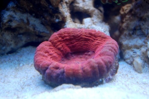 DSC_0362.jpg